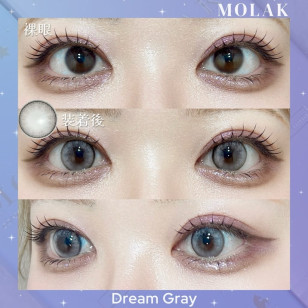 MOLAK 1day Dream Gray モラクワンデー ドリームグレー